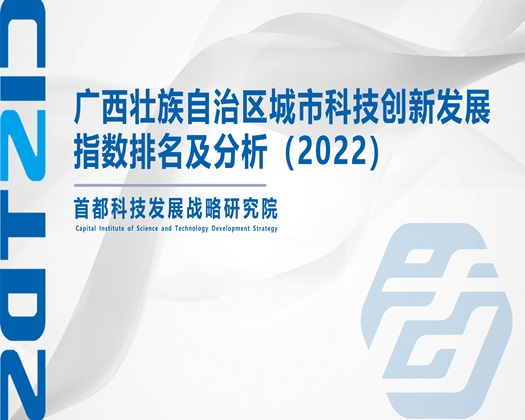 xxxnxx【成果发布】广西壮族自治区城市科技创新发展指数排名及分析（2022）